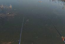 春季钓鱼怎样避开小杂鱼？