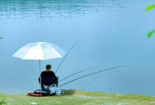 垂钓时切线，就是上大鱼了！不一定，也许是这些因素引起