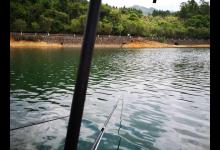 初夏钓鱼没口？试试这几个歪门邪道