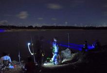 夏天夜钓这几个准备一定要做，否则大概率会遇到危险