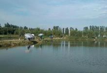 偷驴不仅能连杆，还能爆护？双窝偷驴