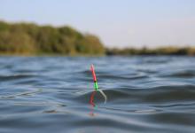 夏季在自然水域作钓，遇到水底有水草怎么办