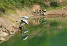 夏天鱼儿比较分散，但这几种天然鱼道比较聚鱼