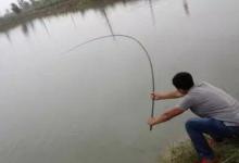 天热后，黑鱼才最好钓？要有上鱼的秘诀