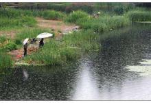 入夏多雨季，鱼口却是时好时坏，到底怎么做才能渔获