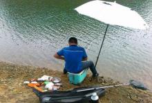 杂鱼一闹就不钓了？庆幸我有这5大绝招