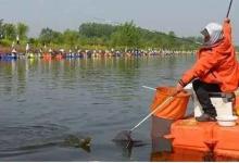 黑坑抢鱼时跑鱼脱钩，和调钓、钩号无关