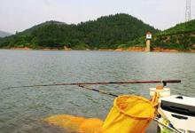 夏天热，我只想用这套一试就灵的钓法