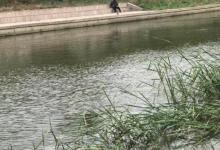 为什么吹东风不好钓鱼？野钓客告诉你