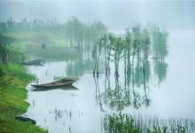 夏季水库这样钓鳊鱼，鱼口根本停不下来