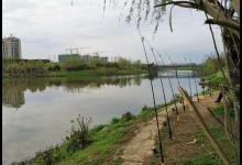 抛竿配串钩总钓不到鱼？那是诱鱼力不足