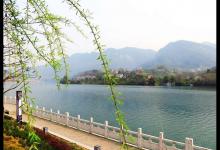 春天鱼不好钓？野钓客教你