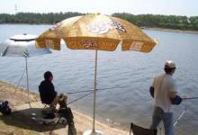 还在为跑鱼而烦恼？老司机道破实情