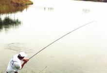 实不相瞒，草鱼按我这套方法钓，鱼竿瞬间被拉弯