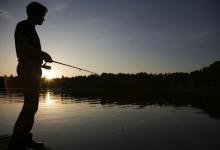 不得不承认，夏季夜钓比白天强，这几点足以说明