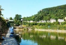 黑坑当中钓鱼，没有以前那么容易了