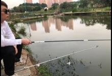 去一次黑坑送一次钱？有三个上鱼的好时机