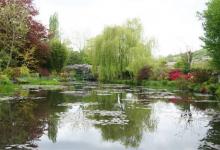 野钓水草还是钓亮水？盲目的选择，心情会受影响