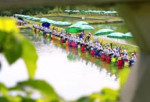 黑坑钓鲫鱼之添加剂的介绍与选择配