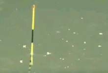 干扰浮漂信号“灵”与“钝”的人为因素