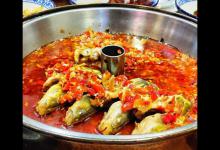 论蚯蚓钓黄颡鱼的正确用法