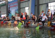 野钓，黑坑，谁更费钱？对比，谁能成功取胜