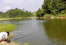 春天钓鱼，以下4个错误很多钓友都犯