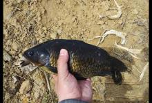 春末野钓，不仅要挑好钓点，更要知道三钓两不钓