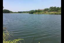 图解双铅单钩 野钓搏大物的专用钓法