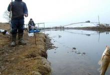 怎么钓轻口鱼？钩尖的选择决定鱼获的多少