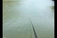 湖库钓大鱼不买高档浮漂的三个理由，入门的基础知识