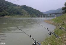 海竿钓鱼的鱼钩选择技巧，大鱼跑不了