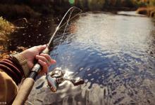 鱼竿种类介绍及如何挑选一支好的鱼竿
