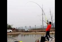 导致鱼竿越来越软的三个习惯，一定要改掉