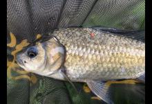 野钓时5个不起眼的小动作，正在损伤你的钓线