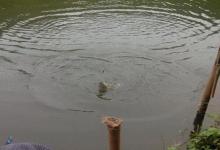 小崔解读：抛竿和线组对于垂钓的影响