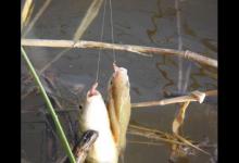 浅谈子线的意义、使用技巧及如何绑子线，谢谢品阅