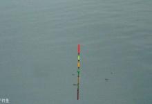 精华选漂口诀，教你辨别浮漂