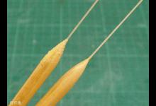 适用于各种不同的鱼情的四种浮漂材质