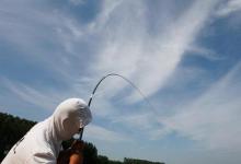 高手经验之钓竿的挑选技巧