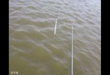 怎样检验一支浮漂的优劣，如何选择浮漂？