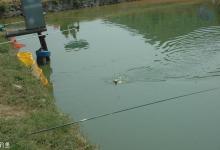 如何根据钓场、鱼口和钓法选漂？