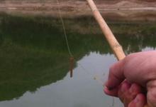 乡下钓鱼用草帽丝线当鱼线，银针当鱼钩