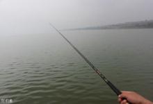 钓大鱼时避免断竿的四个技巧
