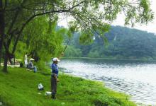 野钓钓涨不钓落是什么原因？涨水鱼儿特别活跃