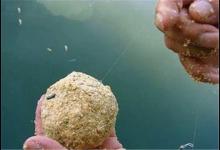 初夏野钓鱼儿不开口？三个原因分析