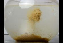 钓鱼没口？空军？鱼不咬钩怎么办