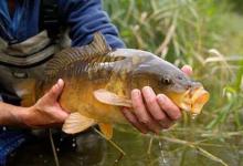 了解了这六种鱼的习性，每次出钓想空军都难