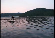 鱼行一条线？从水底环境和鱼类避害本能，解析鱼道