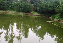 钓鱼用好这些新思路，渔获一准比别人多